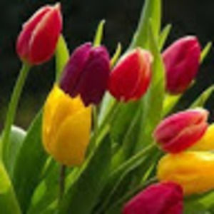 Meet your Posher, Rujuta